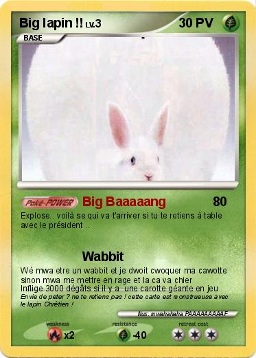 Pokemon Big lapin !!
