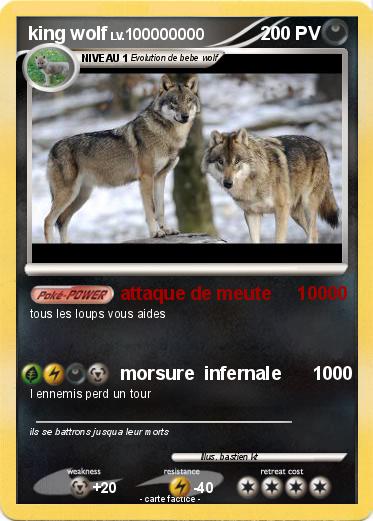 Pokemon king wolf