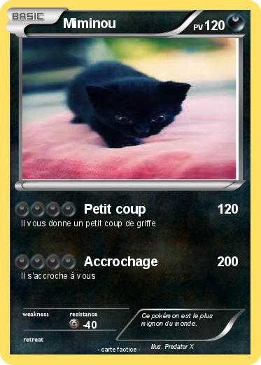 Pokemon Miminou