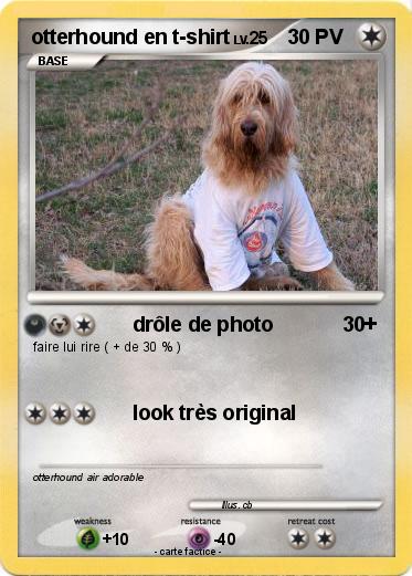 Pokemon otterhound en t-shirt