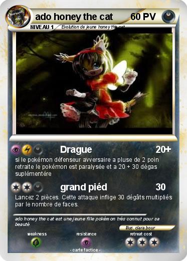 Pokemon ado honey the cat