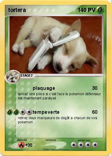 Pokemon tortera