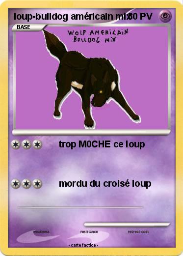 Pokemon loup-bulldog américain mix