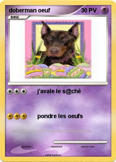 Pokemon doberman oeuf