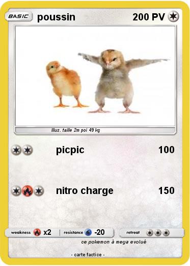 Pokemon poussin