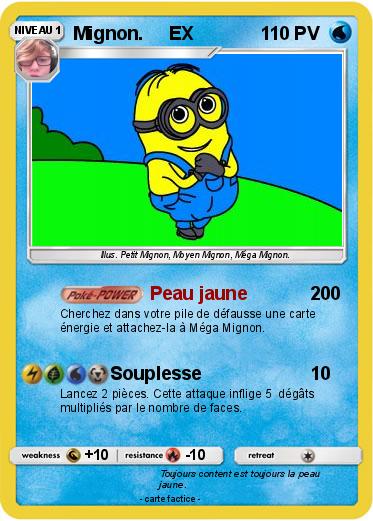 Pokemon Mignon.     EX