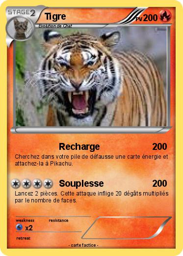 Pokemon Tigre