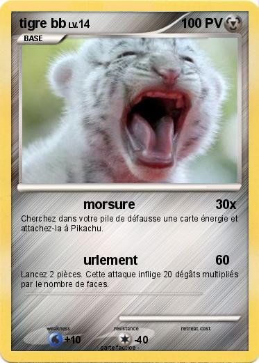 Pokemon tigre bb