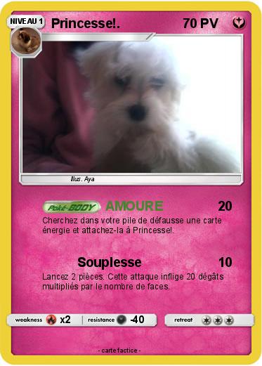Pokemon Princesse!.