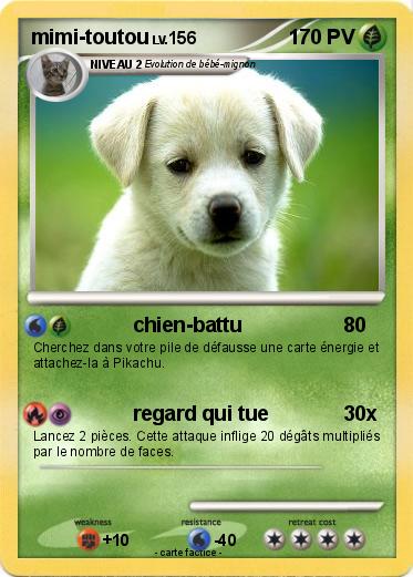 Pokemon mimi-toutou