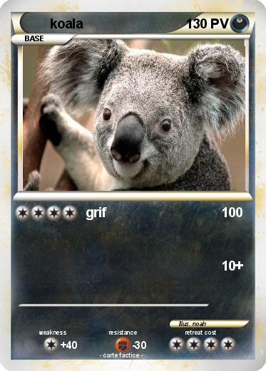Pokemon koala