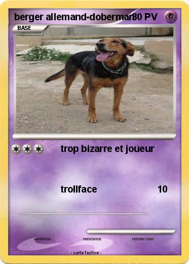 Pokemon berger allemand-doberman