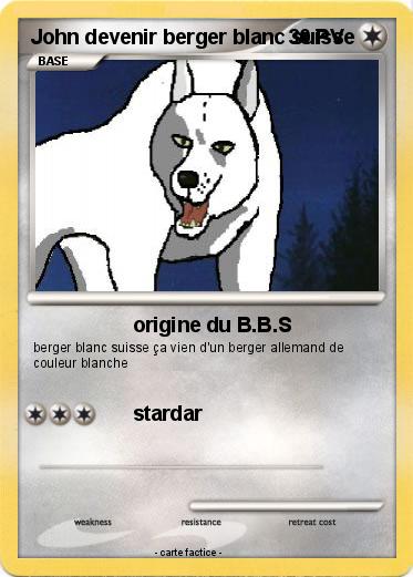 Pokemon John devenir berger blanc suisse
