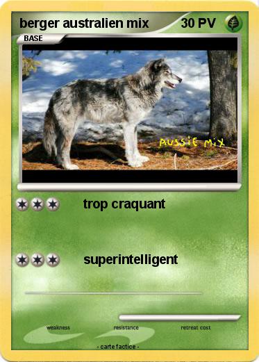 Pokemon berger australien mix