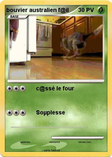 Pokemon bouvier australien f@il