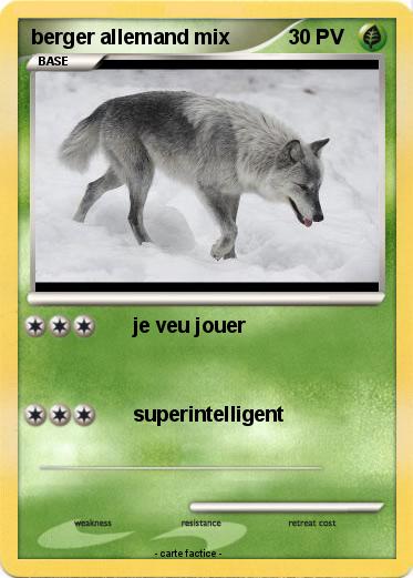 Pokemon berger allemand mix