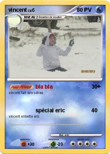 Pokemon vincent