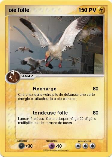 Pokemon oie folle