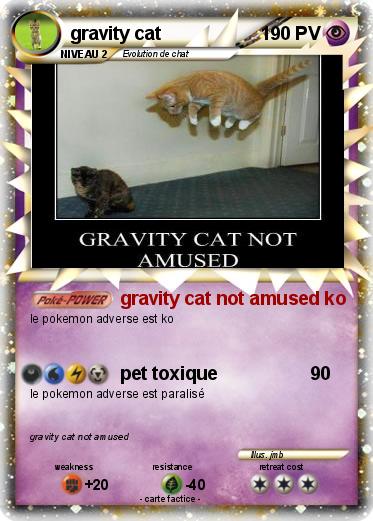 Pokemon gravity cat