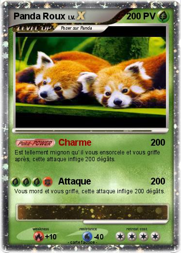 Pokemon Panda Roux