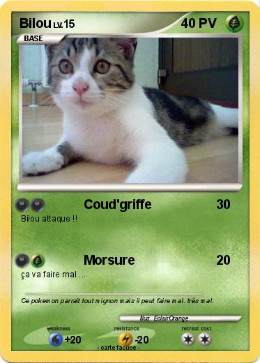 Pokemon Bilou