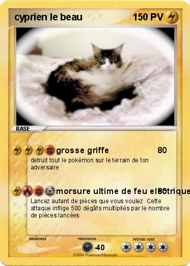 Pokemon cyprien le beau