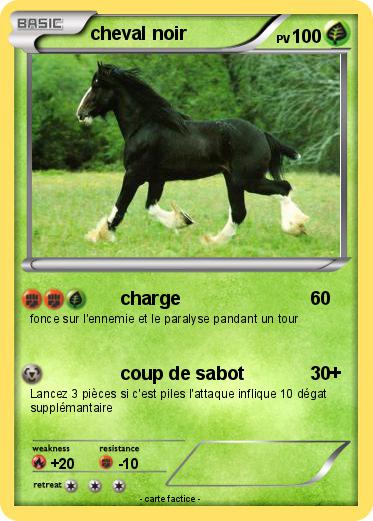 Pokemon cheval noir