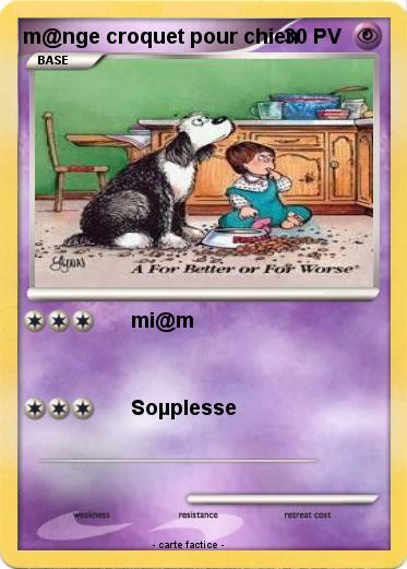 Pokemon m@nge croquet pour chien