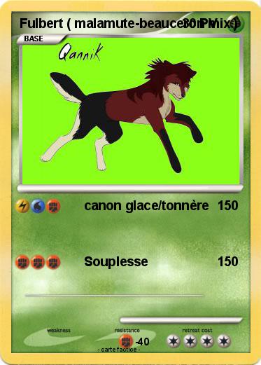 Pokemon Fulbert ( malamute-beauceron mix )