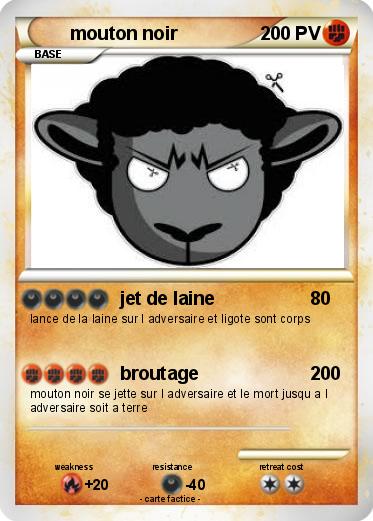 Pokemon mouton noir