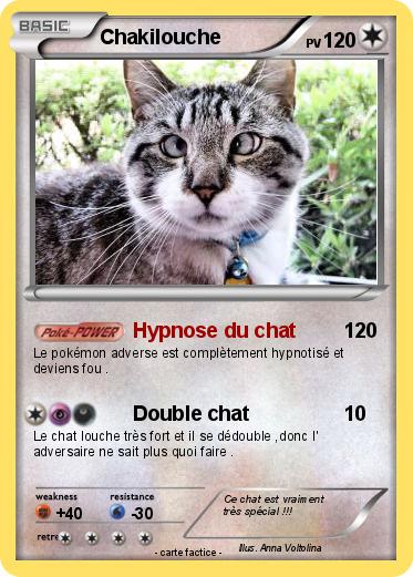 Pokemon Chakilouche