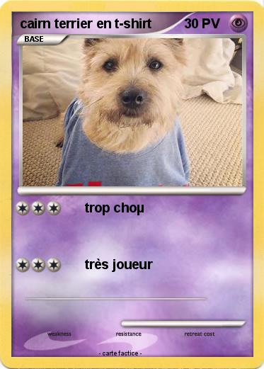 Pokemon cairn terrier en t-shirt
