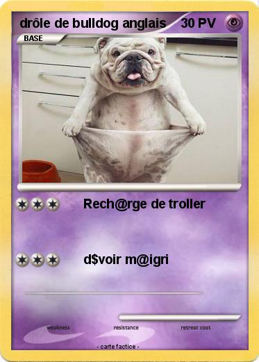 Pokemon drôle de bulldog anglais
