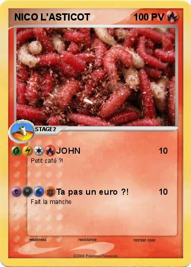 Pokemon NICO L'ASTICOT