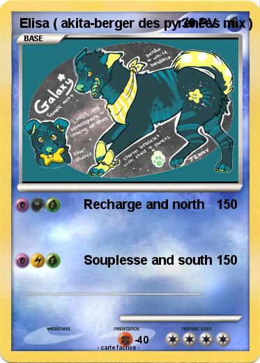 Pokemon Elisa ( akita-berger des pyrénées mix )