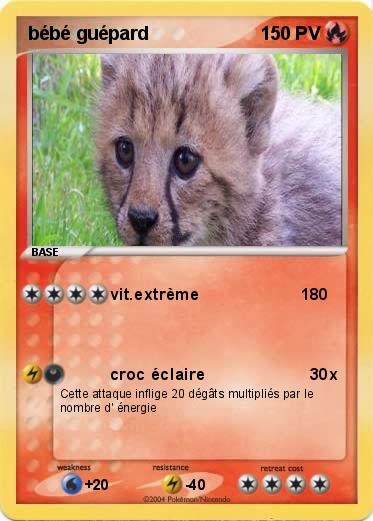 Pokemon bébé guépard