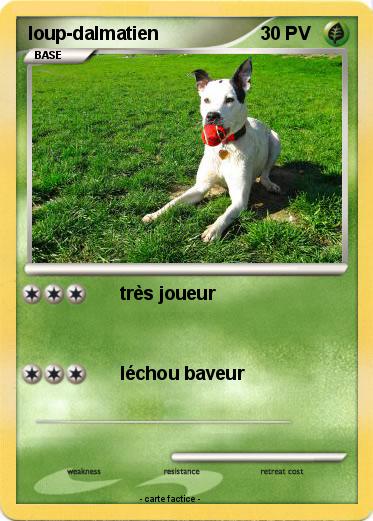 Pokemon loup-dalmatien