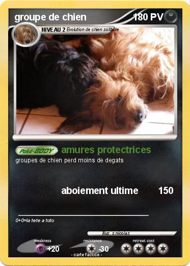 Pokemon groupe de chien