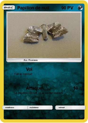 Pokemon Papillon de nuit