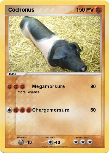 Pokemon Cochonus