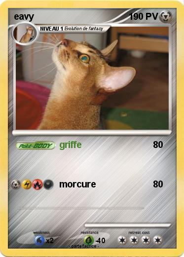 Pokemon eavy
