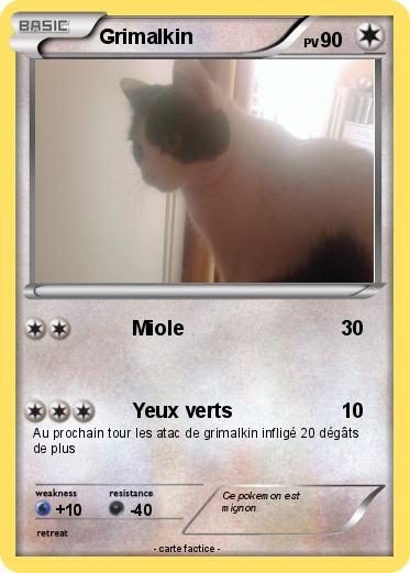 Pokemon Grimalkin