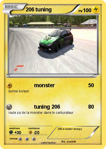 Pokemon 206 tuning