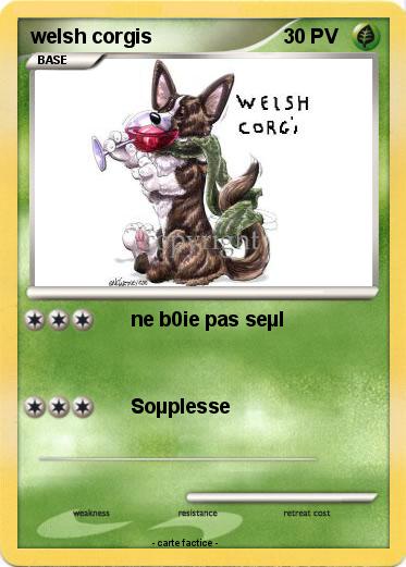 Pokemon welsh corgis