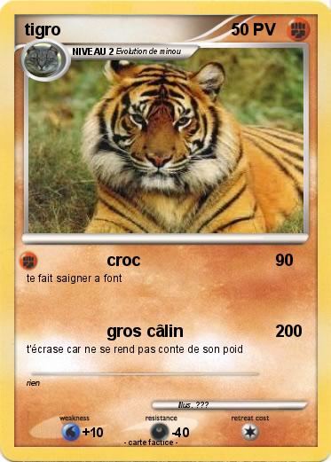 Pokemon tigro