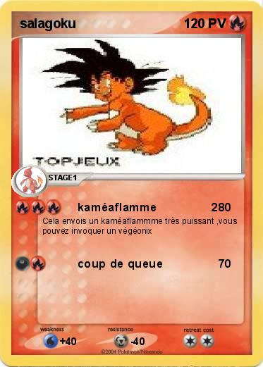 Pokemon salagoku
