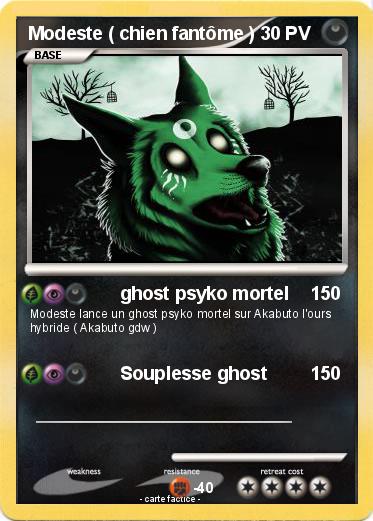 Pokemon Modeste ( chien fantôme )
