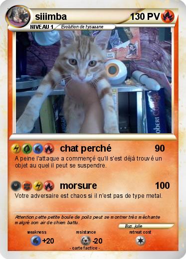 Pokemon siiimba