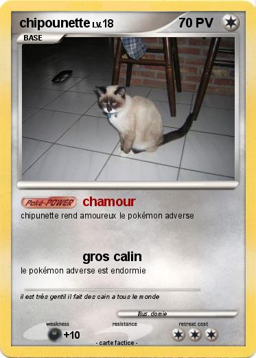 Pokemon chipounette
