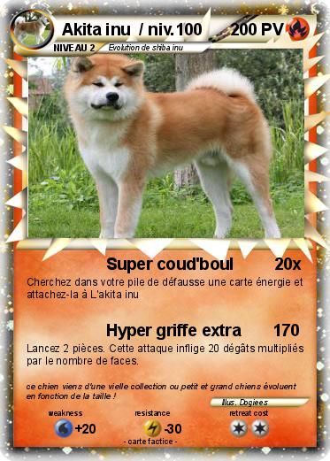 Pokemon Akita inu  / niv.100